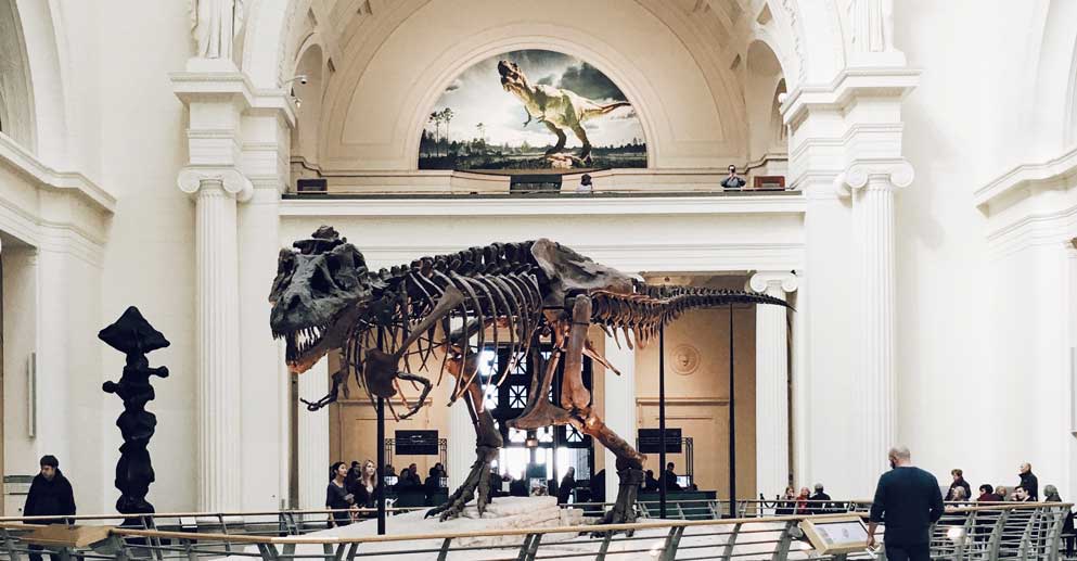 dinosaur exhibit